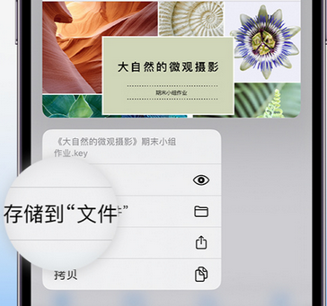 文水apple维修中心分享iPhone文件应用中存储和找到下载文件