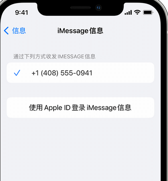 文水apple维修iPhone上无法正常发送iMessage信息 