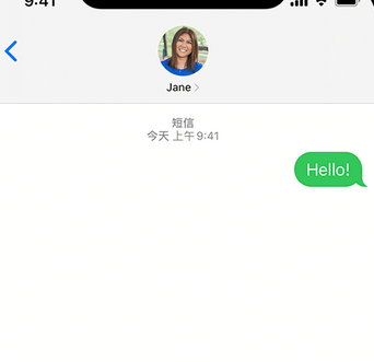 文水apple维修iPhone上无法正常发送iMessage信息