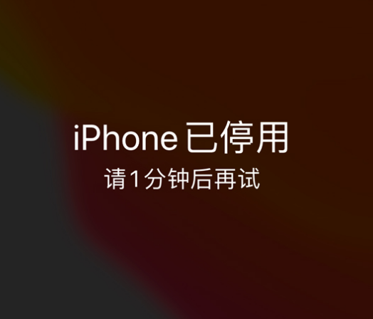 文水苹果手机维修分享:iPhone 显示“不可用”或“已停用”怎么办？还能保留数据吗？ 