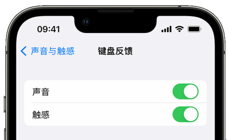 文水苹果手机维修分享iPhone 14触感键盘使用方法 