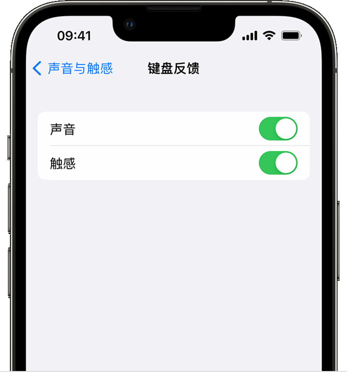 文水苹果14维修店分享如何在 iPhone 14 机型中使用触感键盘 