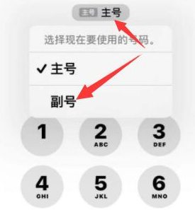 文水苹果14维修店分享iPhone 14 Pro Max使用副卡打电话的方法 