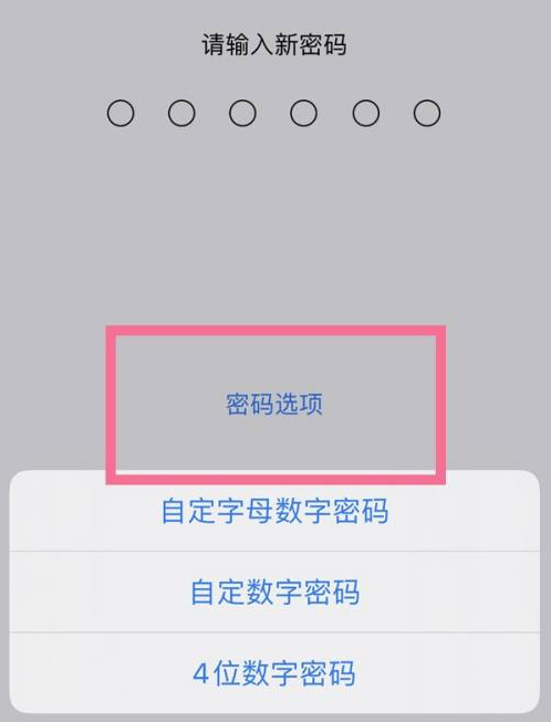 文水苹果14维修分享iPhone 14plus设置密码的方法 