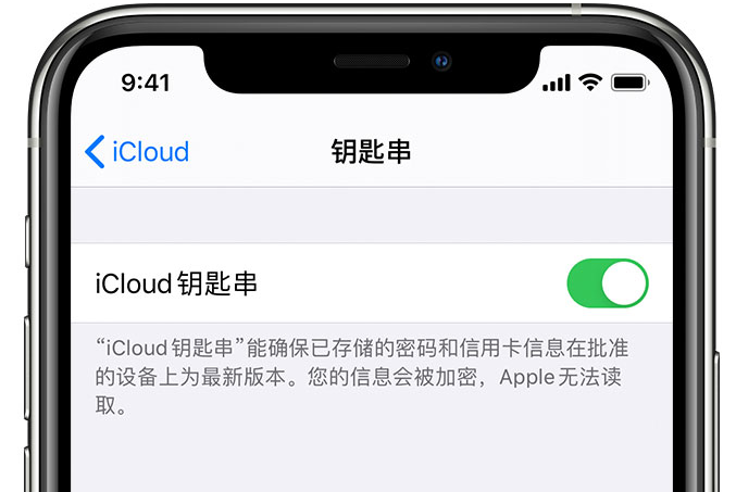 文水苹果手机维修分享在 iPhone 上开启 iCloud 钥匙串之后会储存哪些信息 