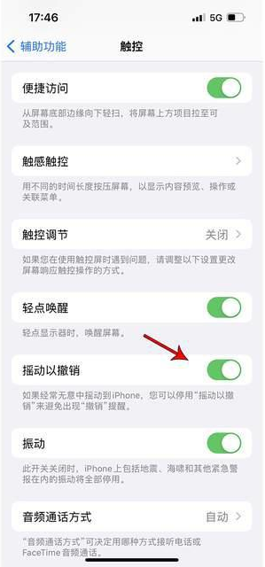 文水苹果手机维修分享iPhone手机如何设置摇一摇删除文字 