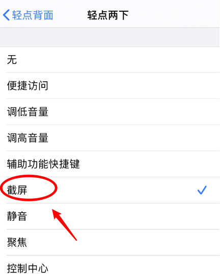 文水苹果手机维修分享iPhone12如何启用双击截屏 